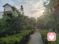 踏过洒满阳光的林荫路，听风穿叶，听鸟轻啼，感受着生命力一点点漫上来。原来最好的治愈，从来都在清晨的风里，在向前走的脚步里。配图