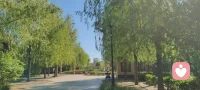 以树的韧劲扎根，以花的热烈生长。职场持续精进发展，生活自带阳光。人生本就是工作即修行，就像农夫深耕土地，默默耕耘、不问喧嚣。很多人在职场迷茫内耗、进退两难，一边煎熬一边彷徨，实则不必纠结前路纷乱。沉下心打磨自己、完善自我，把当下的事做到极致，便能通万法、明万道。所有向上生长的坚持，终会开出属于自己的风景。
接纳职场的苦与迷茫，专注自我修行，日日精进，步履不停，前路自会通透明朗，既有人生价值，亦有岁月温柔与满心欢愉！配图