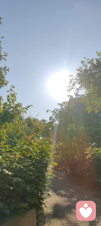 清晨练完太极，浑身松快地走在公园里。阳光透过树叶洒下来，风里带着草木的清香，耳边是虫鸣鸟叫，连太阳都温柔得不像话。原来最好的治愈，从来都不是远方，而是在这寻常的晨光里，和自己的呼吸、和自然的声音，好好待一会儿。心定了，日子也就慢下来了。☀️🌿配图