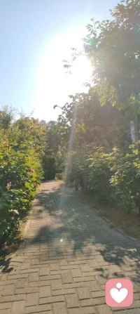 清晨练完太极，浑身松快地走在公园里。阳光透过树叶洒下来，风里带着草木的清香，耳边是虫鸣鸟叫，连太阳都温柔得不像话。原来最好的治愈，从来都不是远方，而是在这寻常的晨光里，和自己的呼吸、和自然的声音，好好待一会儿。心定了，日子也就慢下来了。☀️🌿配图