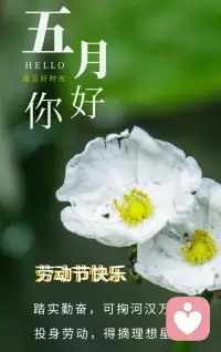 读毛选，悟透10条人生破局心法｜致不甘平庸的你。
 
十年沉心研读，从毛选中读懂真正的生存智慧、成事法则。
 
从不是纸上谈兵，而是看透历史规律、摸透人性本质后，依旧敢在低谷蓄力、敢在困境破局的底气。
 
这10条破局心法，写给每一个不想认命、想要翻盘的人：
 
1. 实事求是：不逃避、不自欺，直面真实处境，才是改变的第一步
​
2. 抓主要矛盾：千头万绪里找准核心，抓准牛鼻子，万事迎刃而解
​6
3. 调查为先：空想全是焦虑，落地调研，才有破解难题的答案
​
4. 战略藐视，战术重视：心怀必胜底气，做事极致谨慎，稳扎稳打
​
5. 团结多数：不做孤勇者，搭建统一战线，借力方能走得更远
​
6. 实践出真知：道理听千遍，不如躬身做一遍，实战才成长
​
7. 直击本质：跳出情绪困局，看透底层逻辑，遇事不慌不乱
​
8. 星火燎原：低谷不放弃，守住微光，小坚持终能汇成大势
​
9. 掌握主动：绝不被动挨打，掌控人生节奏，做自己的执棋人
​
10. 修心改世：先重塑内心认知，方能改写眼前的困局与人生
 
真正的强者，从不是天生顺遂，而是读懂规律、守住心气，在凡俗生活里杀出一条属于自己的路。配图