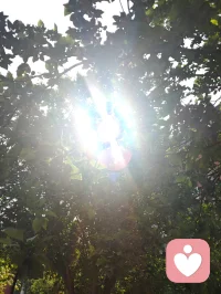 一花一世界，一叶一菩提！配图
