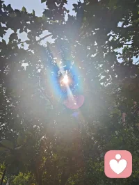 清晨的公园晨光明媚，暖阳温柔地洒落周身，林间虫鸣清脆，百鸟轻啼，草木裹挟着淡淡的清香随风漫开。缓缓起势打一套太极拳，一呼一吸都融进了山野的灵气里。沐浴着朝阳，感受阳光浸透筋骨的暖意，尘世的浮躁都在这一刻慢慢沉淀。这就是最纯粹的自然疗愈。人本就是大自然的一部分，当我们愿意放下纷扰，回归草木之间，让身心与天地相融，心灵便会得到滋养，灵魂得以安放。真正的健康从不是单纯的身体无疾，而是身心合一，栖于自然，守一份内心的安宁与通透。配图