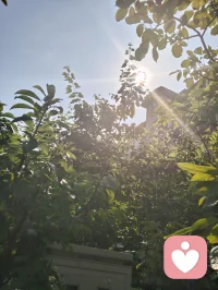 清晨的公园晨光明媚，暖阳温柔地洒落周身，林间虫鸣清脆，百鸟轻啼，草木裹挟着淡淡的清香随风漫开。缓缓起势打一套太极拳，一呼一吸都融进了山野的灵气里。沐浴着朝阳，感受阳光浸透筋骨的暖意，尘世的浮躁都在这一刻慢慢沉淀。这就是最纯粹的自然疗愈。人本就是大自然的一部分，当我们愿意放下纷扰，回归草木之间，让身心与天地相融，心灵便会得到滋养，灵魂得以安放。真正的健康从不是单纯的身体无疾，而是身心合一，栖于自然，守一份内心的安宁与通透。配图