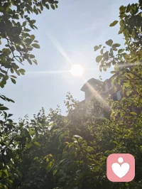 清晨的公园晨光明媚，暖阳温柔地洒落周身，林间虫鸣清脆，百鸟轻啼，草木裹挟着淡淡的清香随风漫开。缓缓起势打一套太极拳，一呼一吸都融进了山野的灵气里。沐浴着朝阳，感受阳光浸透筋骨的暖意，尘世的浮躁都在这一刻慢慢沉淀。这就是最纯粹的自然疗愈。人本就是大自然的一部分，当我们愿意放下纷扰，回归草木之间，让身心与天地相融，心灵便会得到滋养，灵魂得以安放。真正的健康从不是单纯的身体无疾，而是身心合一，栖于自然，守一份内心的安宁与通透。配图
