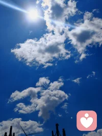 父母必须给孩子的七大家庭核心教育
 
父母再忙碌，也一定要给孩子落实这七项核心家庭教育，人生缺一不可！
 
1. 生存教育：培养独立自理能力，学会风险避险，树立正确金钱观，让孩子拥有安身立命的根本。
​
2. 爱的教育：给予充足的安全感，教会孩子自尊自爱、心怀感恩，拥有爱与被爱的能力。
​
3. 性教育：明晰身体边界，掌握自我保护的方法，建立健康正向的两性观念。
​
4. 品格教育：涵养正直诚信的本心，塑造责任与担当，为人生守住做人的底线。
​
5. 规则教育：心存敬畏、恪守规矩，建立清晰边界感，懂得知进退、明分寸。
​
6. 心理教育：学会情绪管理，接纳不完美的自我，修炼强大内心，从容抵御人生挫折。
​
7. 格局教育：拓宽眼界胸襟，看淡眼前得失，养成豁达通透、目光长远的人生心态。
 
学业成绩只是一时的光环，完整的家庭教育，才是陪伴孩子一生最坚实的底气。
 
如果在育儿的路上你感到迷茫，或是孩子成长遇到了难题，都可以来找我倾诉，我会一路陪你同行。配图