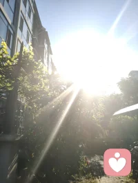 晨光漫过月季的花瓣，把满院的温柔揉成一片软红。蜂蝶在花间流连，阳光穿过枝叶，在地上织出细碎的金网，连风都慢了下来。万物都在以沉默的方式传递着善意，就像这光与花，从不说自己照亮了人间，却把暖意悄悄落进每一寸角落。我也学着它们的样子，把心意藏进日常，不声不响，不喧哗，自有回响。有些温柔不必说出口，只以沉静的姿态静静滋养就好！