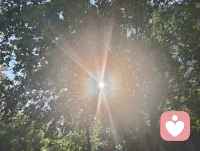 晨光穿过叶隙，在蔷薇花墙洒下星芒。我忽然懂了荣格说的「阿尼玛与阿尼姆斯」——原来生命与生命的相遇，本就是一场灵魂的相互照见。
我以真诚为炬，在心理的旷野上点亮微光，那些被温暖接住的灵魂，终会带着这份光，继续照亮自己的路。生命点燃生命，生命守护生命，这便是我们在人间，最温柔的共振。✨配图