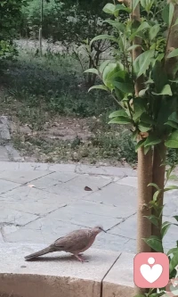 理论是工具，不是枷锁。道法自然，万法归一，你就是那个一，一生二，二生三，三生万物，万物负阴而抱阳生太极☯️
心理学也好，其他学问也罢，都是帮我们看见自己的镜子，而非定义生活的标尺。尽信书不如无书，知识的终极，是让你更懂自己，而不是用它绑架自己。别在理论里找答案，要在生活里活自己。
别让书本的条条框框，困住了你的心。生活的答案，不在公式里，而在你每一次真实的呼吸、每一次心动的瞬间里。你本身，比任何理论都更鲜活、更重要。做自己的主人，才是宇凡道的核心。配图