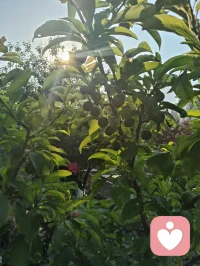 晨练太极｜向阳而生，心安即是归途！
 晨起迎着暖阳，静心打完一套太极，周身浊气尽数消散，心底豁然通透，一身轻松自在。人生亦如太极之道，阴阳流转，起落相随。顺时从容前行，逆时沉心蓄力，不慌不忙，不执不躁。沐浴在晨光之下，静观一草一木，聆听清风拂面，看万物自在生长。才懂人间最珍贵的幸福，从不是追逐繁华与远方，而是身在阳光里，心在安宁中。
 守住一份从容，稳住一颗本心。
向阳而行，与万物共生，余生温柔，步步安然。配图