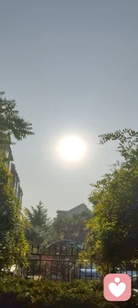 晨练太极｜向阳而生，心安即是归途！
 晨起迎着暖阳，静心打完一套太极，周身浊气尽数消散，心底豁然通透，一身轻松自在。人生亦如太极之道，阴阳流转，起落相随。顺时从容前行，逆时沉心蓄力，不慌不忙，不执不躁。沐浴在晨光之下，静观一草一木，聆听清风拂面，看万物自在生长。才懂人间最珍贵的幸福，从不是追逐繁华与远方，而是身在阳光里，心在安宁中。
 守住一份从容，稳住一颗本心。
向阳而行，与万物共生，余生温柔，步步安然。配图