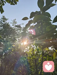 晨练太极｜向阳而生，心安即是归途！
 晨起迎着暖阳，静心打完一套太极，周身浊气尽数消散，心底豁然通透，一身轻松自在。人生亦如太极之道，阴阳流转，起落相随。顺时从容前行，逆时沉心蓄力，不慌不忙，不执不躁。沐浴在晨光之下，静观一草一木，聆听清风拂面，看万物自在生长。才懂人间最珍贵的幸福，从不是追逐繁华与远方，而是身在阳光里，心在安宁中。
 守住一份从容，稳住一颗本心。
向阳而行，与万物共生，余生温柔，步步安然。配图