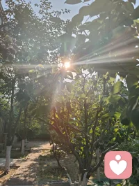 晨练太极｜向阳而生，心安即是归途！
 晨起迎着暖阳，静心打完一套太极，周身浊气尽数消散，心底豁然通透，一身轻松自在。人生亦如太极之道，阴阳流转，起落相随。顺时从容前行，逆时沉心蓄力，不慌不忙，不执不躁。沐浴在晨光之下，静观一草一木，聆听清风拂面，看万物自在生长。才懂人间最珍贵的幸福，从不是追逐繁华与远方，而是身在阳光里，心在安宁中。
 守住一份从容，稳住一颗本心。
向阳而行，与万物共生，余生温柔，步步安然。配图