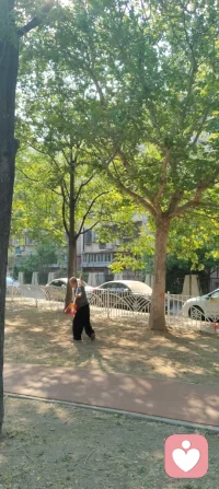 我的晨练好友们都过着心灵的生活！配图