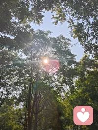 晨光穿过枝叶，落在肩头，像天地写给我的温柔信笺。林间漏下的斑驳光影，是万物向阳而生的力量，也是大道循光而来的指引。心向暖阳，便无惧风霜；与光同行，与自己和解，日子温柔晴朗，心有光明，步步生暖！配图