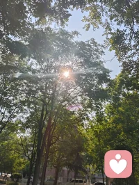 晨光穿过枝叶，落在肩头，像天地写给我的温柔信笺。林间漏下的斑驳光影，是万物向阳而生的力量，也是大道循光而来的指引。心向暖阳，便无惧风霜；与光同行，与自己和解，日子温柔晴朗，心有光明，步步生暖！配图