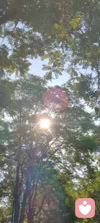晨光穿过枝叶，落在肩头，像天地写给我的温柔信笺。林间漏下的斑驳光影，是万物向阳而生的力量，也是大道循光而来的指引。心向暖阳，便无惧风霜；与光同行，与自己和解，日子温柔晴朗，心有光明，步步生暖！配图