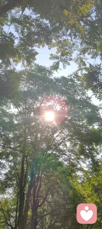 晨光穿过枝叶，落在肩头，像天地写给我的温柔信笺。林间漏下的斑驳光影，是万物向阳而生的力量，也是大道循光而来的指引。心向暖阳，便无惧风霜；与光同行，与自己和解，日子温柔晴朗，心有光明，步步生暖！配图