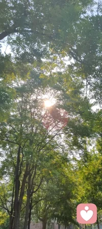 晨光穿过枝叶，落在肩头，像天地写给我的温柔信笺。林间漏下的斑驳光影，是万物向阳而生的力量，也是大道循光而来的指引。心向暖阳，便无惧风霜；与光同行，与自己和解，日子温柔晴朗，心有光明，步步生暖！配图