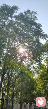 晨光穿过枝叶，落在肩头，像天地写给我的温柔信笺。林间漏下的斑驳光影，是万物向阳而生的力量，也是大道循光而来的指引。心向暖阳，便无惧风霜；与光同行，与自己和解，日子温柔晴朗，心有光明，步步生暖！配图
