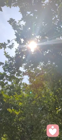 守神于内，花开于外！
 今日被满园生机撞了个满怀：盛放的月季凝着晨光，石榴新枝藏着花苞，连无花果树的叶片都透着舒展的力量。忽然懂了，万物生长的底气，从来都是扎根深处的静默与专注。宇凡道讲“精气神内守”，原来最稳的力量，从来不是向外追逐的喧嚣，而是向内扎根的笃定。只有守得住自己的心神，养得好自己的底气，才能稳稳接住自己，也稳稳托住他人。往后的日子，便如这花木一般，扎根、守神、生长。把心神收回来，把浮躁沉下去，向内修己，向外温柔。✨配图