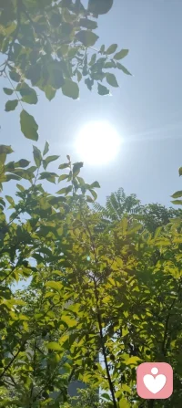 守神于内，花开于外！
 今日被满园生机撞了个满怀：盛放的月季凝着晨光，石榴新枝藏着花苞，连无花果树的叶片都透着舒展的力量。忽然懂了，万物生长的底气，从来都是扎根深处的静默与专注。宇凡道讲“精气神内守”，原来最稳的力量，从来不是向外追逐的喧嚣，而是向内扎根的笃定。只有守得住自己的心神，养得好自己的底气，才能稳稳接住自己，也稳稳托住他人。往后的日子，便如这花木一般，扎根、守神、生长。把心神收回来，把浮躁沉下去，向内修己，向外温柔。✨配图