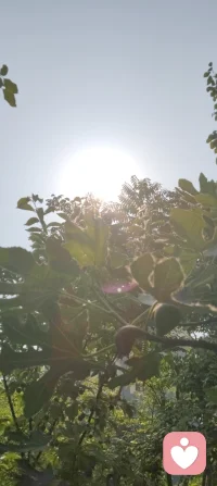 草木向阳，心也慢慢回暖！配图