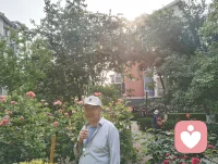 晨起邻园蔷薇盛放，红薇漫墙，花木葱茏。与相识许久的南开忘年教授论儒释道、悟宇凡大道。鸟语相伴，花木为邻，同信朝阳养身、大地育心、草木渡情。他赠我香烟，我独处望云轻燃两缕，感念知己相知，亦藏心底云之温柔，大道同频，岁月安然。配图