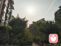 晨练太极，与知己论道，见晨光穿林、硕果满枝。宇凡道言，木为骨，花为魂，阴阳相生，万物皆具生机。草木向阳而生，人心向阳而暖，爱自具足，溢满而生，温柔自渡，也渡世人。配图