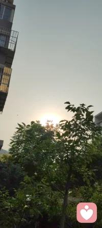 为人父为女儿则柔！
很多女孩长大后走的弯路，其实都是童年父亲一点一滴埋下的痕迹。
她对爱的认知、对自我的底气、对异性的判断，全部始于父亲的模样。
 不当着女儿哭穷，免她一生卑微讨好；
善待枕边爱人，给她看见最好的感情模样；
再忙也要陪伴，不让她一生缺爱慌张；
多多温柔夸赞，筑牢她与生俱来的自信；
收敛自身脾气，做她一生安稳的阳光。
自我有了女儿，我骨子里多了一份与生俱来的温柔。
从前一身棱角，风雨独行；如今满心柔软，只为护她周全。
父亲，是女儿最初的世界，是一生的铠甲，也是永远不变的退路。
愿世间所有小棉袄，都能被父爱温柔托举。
一生有光，一生被爱，一生有底气，一生有靠山。配图