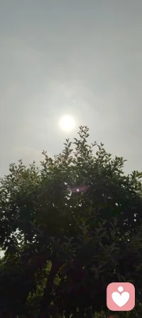 日耀温暖，花绽初夏清晨，树木果熟枝头。
自然的每一缕生机，都是宇凡道里“心定而生暖”的疗愈启示。
以天地为镜，以花木为灯，在向阳而生的节律里，照见自己，也照亮众生。🌿配图