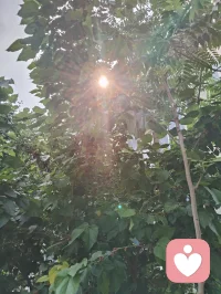 在宇凡道的视角里，“自我客体化”从不是一场冰冷的自我凌迟，而是一场温柔的、清醒的和解。它不是教你麻木，而是教你和自己的情绪好好相处。当焦虑翻涌、委屈涌上心头时，不必急着指责自己“太敏感”，也不必强迫自己立刻“坚强”。试着像一个温柔的旁观者，轻轻对自己说：“没关系，我知道你很难受，我陪着你，也会慢慢处理这一切。” 真正的强大，从来不是感受不到痛，而是带着满身伤痕，依然能温柔地整理伤口，继续向前。愿你学会抽离，不是为了变得冷漠，而是为了给情绪一个出口，给灵魂一片栖息的地方。你不必活成无坚不摧的铠甲，也不必困在玻璃心的牢笼里。在宇凡道的修行里，清醒与温柔，本就可以共存。配图