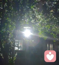 婚姻最高真相：先圆满自己，再成全彼此。丢了自己，终究守不住婚姻。婚姻从不是避风救赎，而是人间最磨性的修行道场。伴侣从不是你的依靠，而是此生渡你破执、照见本心的金刚道友。配图