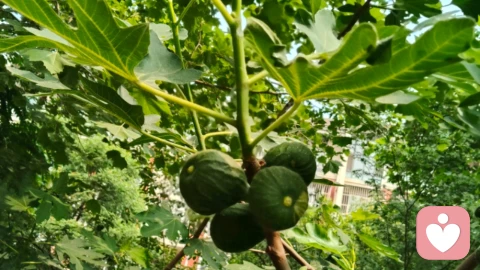 红尘炼心，夫妻即菩提道场。