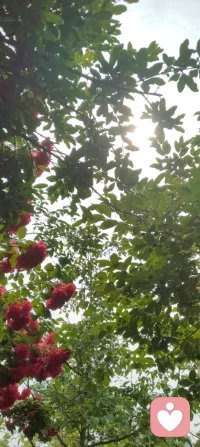 《请好好爱自己》
 
请好好爱自己
在无人拥抱的夜里
别让孤单压弯背脊
你值得被温柔惦记
 
请好好爱自己
把伤痕都轻轻擦去
你不必完美无缺
破碎也能长出勇气
 
请好好爱自己
对自己说声没关系
你走过的每一步泥泞
都是走向光的足迹
 
请好好爱自己
像爱全世界那样爱你
你本身，就是风景
无需他人定义配图