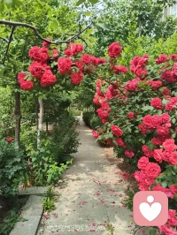 《请好好爱自己》
 
请好好爱自己
在无人拥抱的夜里
别让孤单压弯背脊
你值得被温柔惦记
 
请好好爱自己
把伤痕都轻轻擦去
你不必完美无缺
破碎也能长出勇气
 
请好好爱自己
对自己说声没关系
你走过的每一步泥泞
都是走向光的足迹
 
请好好爱自己
像爱全世界那样爱你
你本身，就是风景
无需他人定义配图