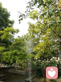 《请好好爱自己》
 
请好好爱自己
在无人拥抱的夜里
别让孤单压弯背脊
你值得被温柔惦记
 
请好好爱自己
把伤痕都轻轻擦去
你不必完美无缺
破碎也能长出勇气
 
请好好爱自己
对自己说声没关系
你走过的每一步泥泞
都是走向光的足迹
 
请好好爱自己
像爱全世界那样爱你
你本身，就是风景
无需他人定义配图