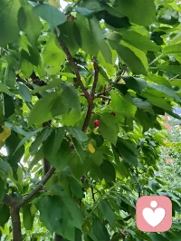 《请好好爱自己》
 
请好好爱自己
在无人拥抱的夜里
别让孤单压弯背脊
你值得被温柔惦记
 
请好好爱自己
把伤痕都轻轻擦去
你不必完美无缺
破碎也能长出勇气
 
请好好爱自己
对自己说声没关系
你走过的每一步泥泞
都是走向光的足迹
 
请好好爱自己
像爱全世界那样爱你
你本身，就是风景
无需他人定义配图