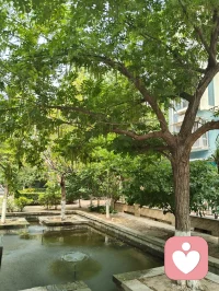 晨起林间闻鸟语，与退休老教授坐而论道，畅谈天地洪荒、医学养生。
我详述自创宇凡道五道核心：以己为道，万法为用，道法自然，一生爱己、自做主宰。东西方心理学与宇凡大道同频共振，见解深得诸位前辈认可赏识，结为忘年知己。品茶浅烟，谈天论地，天地灵韵共生，亦是人间修行一大幸事。配图