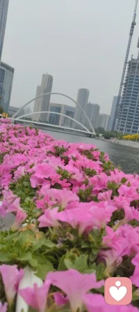 爱是你我，花艳如你，水泽如我。
海河晚风里，宇凡守着这一份，不褪色的温柔。配图