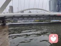 爱是你我，花艳如你，水泽如我。
海河晚风里，宇凡守着这一份，不褪色的温柔。配图