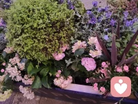 海河漫步，晚风细雨，白鸽谈情。花艳如你，水泽如我，一杯鸡尾酒来不及喝就雨落河边，敬这人间浪漫，也敬你温暖如初的守候！配图
