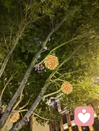 海河漫步，晚风细雨，白鸽谈情。花艳如你，水泽如我，一杯鸡尾酒来不及喝就雨落河边，敬这人间浪漫，也敬你温暖如初的守候！配图