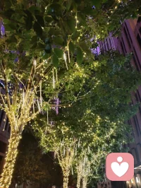 海河骤雨初歇，杯酒余温未散。车中笑语诗声，灯火漫过雨窗。
花艳如你，水泽如我，一路书香，皆是人间至暖。
 
 《雨夜行舟，诗满归途》
 海河的晚风还带着鸡尾酒的余温，细雨就轻轻落了下来。
 归途中，车窗外是被雨雾晕染的霓虹，车内是一家人的笑语与诗声。姐姐与姐夫，腹有诗书，谈笑间皆是风雅；三个孩子，承家风之韵，信手拈来皆是佳句。雨打车窗，像一首温柔的伴奏，伴着车厢里此起彼伏的诗句，漫过夜色。这一刻忽然懂得，真正的文学之美，从不是高阁上的孤芳，而是融入烟火的温度。它是海河边上的骤雨，是杯盏里的酒香，是一家人围坐的笑语，是孩子们眼里的星光，是姐姐姐夫身上那份“腹有诗书气自华”的从容。花艳如你，水泽如我。这场雨中归途，没有惊天动地的浪漫，却有最动人的人间烟火。我们以诗为灯，以爱为舟，在细雨与夜色里，把平凡的归途，走成了一场满是书香与温暖的旅程。愿这份雨夜里的诗意与欢笑，也能顺着晚风，抵达每一个心怀美好的人。
 
《雨夜行归诗满怀》
 雨落津门夜色柔，车中笑语满诗瓯。
灯摇碎影穿窗过，风送书香入画楼。
家有芝兰皆秀骨，心怀风月自风流。
一杯余韵随波远，不负人间此夜悠。配图