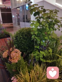 海河骤雨初歇，杯酒余温未散。车中笑语诗声，灯火漫过雨窗。
花艳如你，水泽如我，一路书香，皆是人间至暖。
 
 《雨夜行舟，诗满归途》
 海河的晚风还带着鸡尾酒的余温，细雨就轻轻落了下来。
 归途中，车窗外是被雨雾晕染的霓虹，车内是一家人的笑语与诗声。姐姐与姐夫，腹有诗书，谈笑间皆是风雅；三个孩子，承家风之韵，信手拈来皆是佳句。雨打车窗，像一首温柔的伴奏，伴着车厢里此起彼伏的诗句，漫过夜色。这一刻忽然懂得，真正的文学之美，从不是高阁上的孤芳，而是融入烟火的温度。它是海河边上的骤雨，是杯盏里的酒香，是一家人围坐的笑语，是孩子们眼里的星光，是姐姐姐夫身上那份“腹有诗书气自华”的从容。花艳如你，水泽如我。这场雨中归途，没有惊天动地的浪漫，却有最动人的人间烟火。我们以诗为灯，以爱为舟，在细雨与夜色里，把平凡的归途，走成了一场满是书香与温暖的旅程。愿这份雨夜里的诗意与欢笑，也能顺着晚风，抵达每一个心怀美好的人。
 
《雨夜行归诗满怀》
 雨落津门夜色柔，车中笑语满诗瓯。
灯摇碎影穿窗过，风送书香入画楼。
家有芝兰皆秀骨，心怀风月自风流。
一杯余韵随波远，不负人间此夜悠。配图