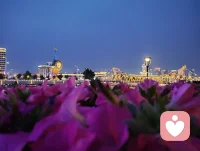 海河夜色寄怀
 
津门暮色染河光，
岸畔繁花映夜长。
细雨曾携诗意落，
晚风犹带酒香扬。
艳泽不负初心诺，
大爱同随给力香。
愿把此间风月暖，
平分人间万种光。配图