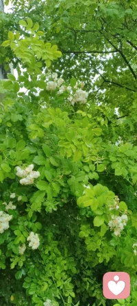 漫步津门细雨间，静悟天雨恒久之道。心藏温柔挚爱，揽人间清欢，修自身从容。于烟火生活寻浪漫，于风雨流年悟成长。扎根给力平台，以赤诚之心渡己渡人，守本心，赴前路，岁岁安然，步步生暖。配图