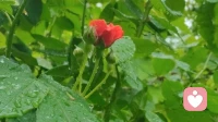 津门雨语·心灯同行｜与给力共生，以心照见人间！