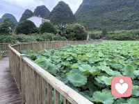 桂林山水甲天下，阳朔山水甲桂林。神游阳朔过着心灵生活！配图