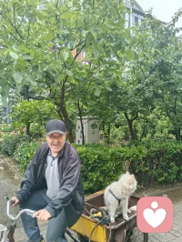 津门晨雨遇灵犬，市井藏大爱修行者！
 
雨后津门的清晨，空气里带着草木与泥土的清润。三轮车上的小白狗，前几日还对着我吠叫，被我一声草原狼啸震慑后，如今见我便温顺得像团棉花，今早更是吐着粉舌头，在车斗里歪头卖萌，眼里满是软乎乎的依赖。它的主人，是一位退伍老兵。他日日踩着三轮车拾废品，衣衫朴素，生活清简，却悄悄把积蓄捐给了慈善，把烟火日子过成了至真至纯的修行。那日我在楼下漫步，撞见他在废品堆旁捧着书读，阳光穿过树叶，落在他花白的鬓角和旧旧的衣衫上，那一刻，市井的尘埃都成了他身上的光，我忽然红了眼眶。原来大爱从不在喧嚣里，本真也从不在浮华里。他不张扬，不喧哗，却用半生朴素，活出了最滚烫的真善美；他的小狗，从野性吠叫到温顺亲近，也在无声的相处里，读懂了人心的赤诚。就像宇凡道里说的，大道至简，本真自明。真正的修行，从来不在深山古刹，而在市井烟火里的坚守与善意。他和他的小狗，就像这津门雨后的清风，用最朴素的模样，告诉我：温柔与大爱，从来都藏在不为人知的细节里，在日复一日的本真里，温暖着人间。愿这世间所有朴素的善意，都能被看见；愿所有坚守本心的修行者，都能被岁月温柔以待。配图